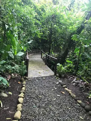a path in the middle of a forest at Arenal Roca Suites in Fortuna
