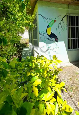 a painting of a bird on the side of a building at Hostel Cattleya - Monteverde, Costa Rica in Monteverde Costa Rica