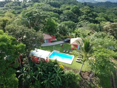 an aerial view of a house with a pool and trees at El nido rojo in Sámara