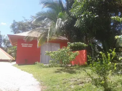 a red house with a palm tree next to a road at El nido rojo in Sámara