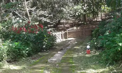 a garden with a fence and a red fire hydrant at El nido rojo in Sámara