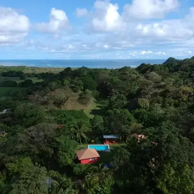 El nido rojo