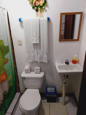 a bathroom with a toilet and a sink and towels at Chinitas Eco Lodge in Tortuguero