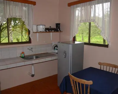 a kitchen with a refrigerator and a sink and two windows at Lumbres Arenal in Fortuna