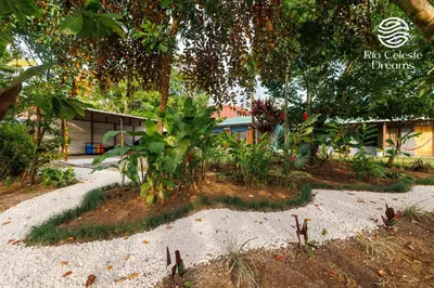 a garden with plants and a building in the background at Rio Celeste Dreams in Bijagua
