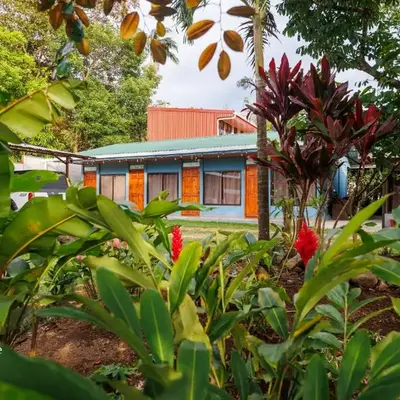 Rio Celeste Dreams