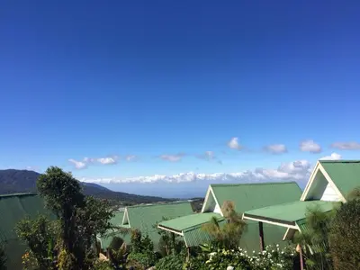 a group of houses with green roofs and trees at Hortensias Chalets Vara blanca in Heredia