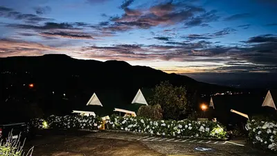 a night view of a building with white flowers at Hortensias Chalets Vara blanca in Heredia