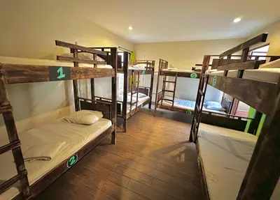 a group of bunk beds in a room at Stray Cat Hostel in San José