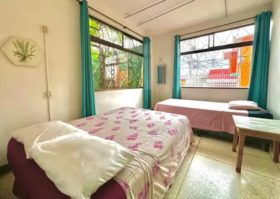 a room with two beds and a table and two windows at Stray Cat Hostel in San José