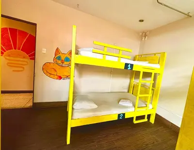 a bunk bed with a yellow ladder in a room at Stray Cat Hostel in San José