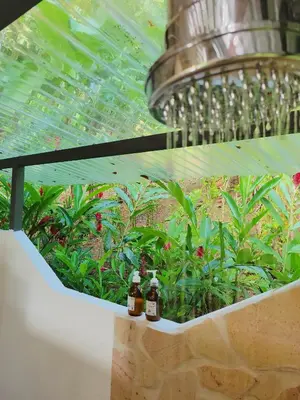 two bottles of honey sitting on a ledge with plants at Cascada Elysiana in Platanillo