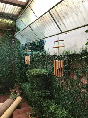 a building with a green wall with plants at Ruiselares in Puntarenas