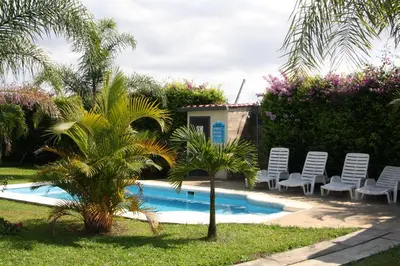a swimming pool with chairs and a palm tree at Apartamentos La Alborada Airport SJO in Alajuela City