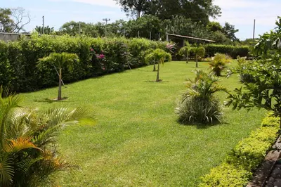 a garden with palm trees and plants at Apartamentos La Alborada Airport SJO in Alajuela City