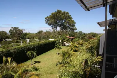 a view of a garden with trees and bushes at Apartamentos La Alborada Airport SJO in Alajuela City