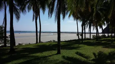 a group of palm trees on the beach at Hotel Giada in Sámara