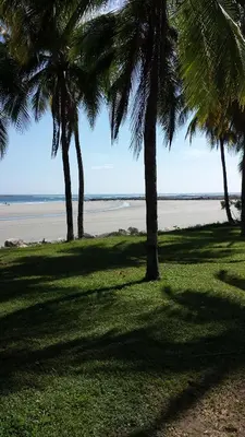 a group of palm trees on the beach at Hotel Giada in Sámara