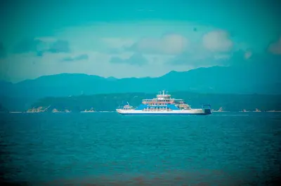 a large cruise ship in the middle of the water at Hotel Yadran Beach Resort in Puntarenas