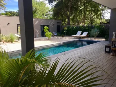 a swimming pool with a green dog statue next to a house at Villa Ethir in Tamarindo