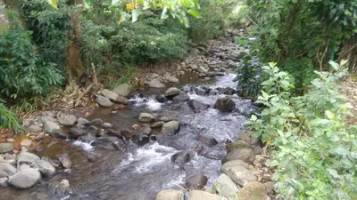 a stream of water with rocks in a forest at Mountain Lodge CheTica in San Jerónimo