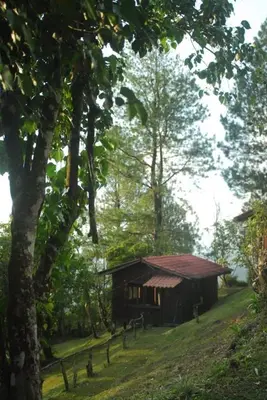 a small wooden cabin in the middle of a forest at Cabañas Don Camilo Albergue de Montaña in Cabecera de Cañas