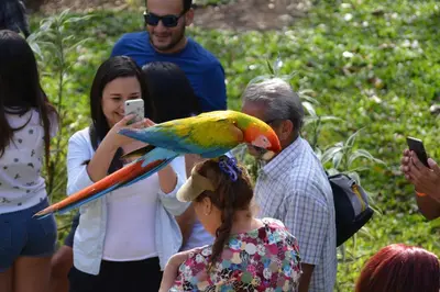 a parrot on a persons head with a woman taking a picture at Finca Dos Calaveras in Ángeles