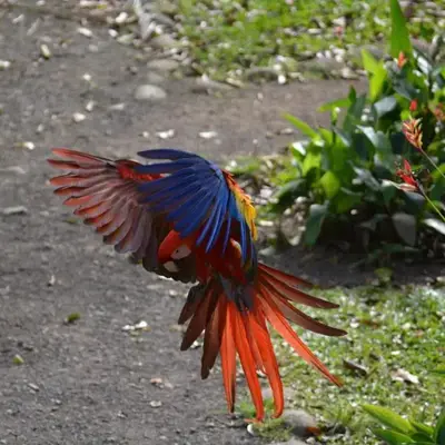 Finca Dos Calaveras