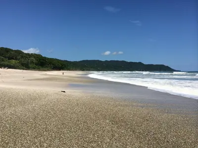 a sandy beach with the ocean and trees in the background at Hotel Tropico Latino in Santa Teresa Beach