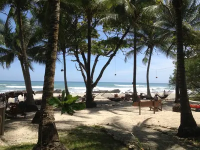 a beach with palm trees and chairs and the ocean at Hotel Tropico Latino in Santa Teresa Beach