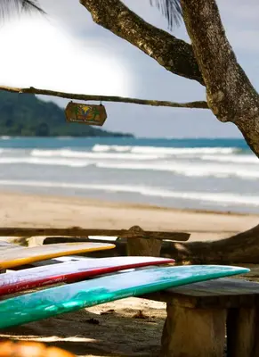 a bunch of surfboards are lined up on the beach at Hotel Tropico Latino in Santa Teresa Beach