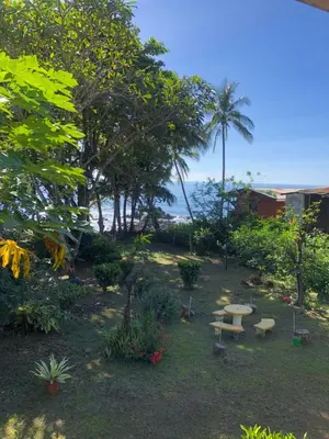 a garden with a table and benches and trees at El Pargo Feliz in Montezuma