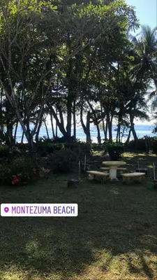 a park with a picnic table and trees on the beach at El Pargo Feliz in Montezuma