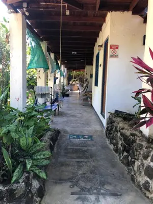 a hallway of a building with chairs and plants at El Pargo Feliz in Montezuma