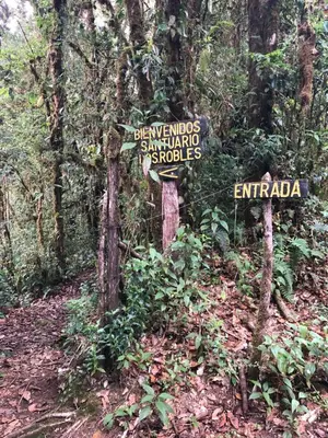 a sign in the middle of a forest at Cabaña de montaña La Magnolia, Cerro de la Muerte De La Cañuela Cloud Forest in Tres de Junio