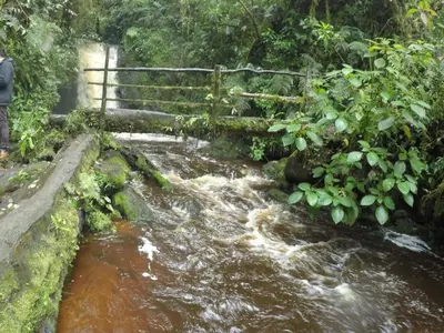 a stream of water with a person standing next to it at Cabaña de montaña La Magnolia, Cerro de la Muerte De La Cañuela Cloud Forest in Tres de Junio