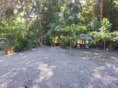 a garden with trees and a dirt road at Casa Arenas in Manuel Antonio