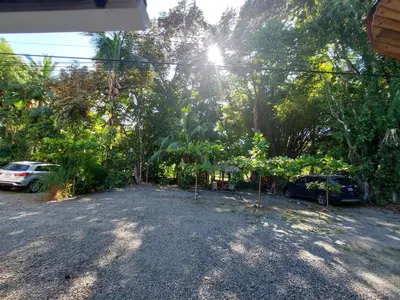 a parking lot with cars parked in a forest at Casa Arenas in Manuel Antonio
