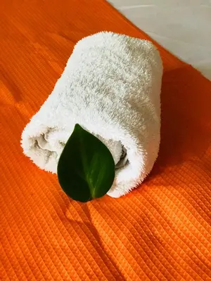 a white towel with a green leaf on a bed at Duerme tranquilo in Alajuela City