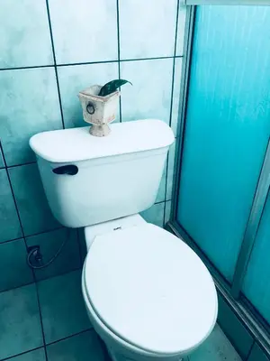 a bathroom with a toilet and a shower at Duerme tranquilo in Alajuela City