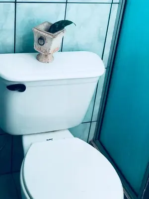 a bathroom with a toilet with a vase on top of it at Duerme tranquilo in Alajuela City