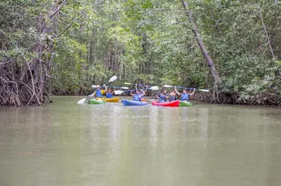 a group of people in kayaks on a river at Kayak Lodge in Damas