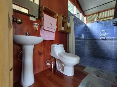 a bathroom with a sink and a toilet at The Sunset Tucano Lodge in Drake