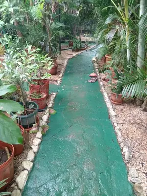 a stream of water in a garden with plants at Nambí Rooms alojamiento no tradicional in Nambí