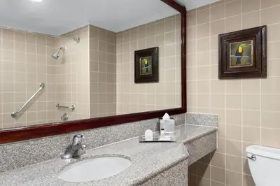 a bathroom with a sink and a mirror and a toilet at Delta Hotels by Marriott San Jose Aurola in San José