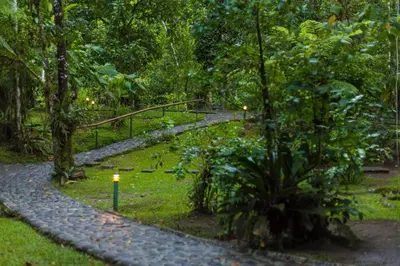 a path in the middle of a park with trees at Pacuare Lodge by Böëna in Bajo Tigre