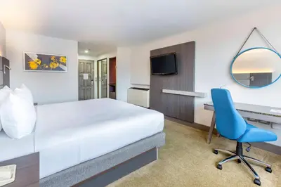 a bedroom with a bed and a desk and a blue chair at Crowne Plaza San Jose La Sabana by IHG in San José