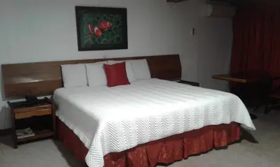 a bedroom with a large white bed with red pillows at Hotel Villa Tournon in San José