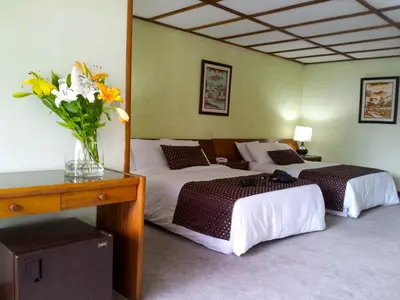 a hotel room with two beds and a vase of flowers at Hotel Villa Tournon in San José