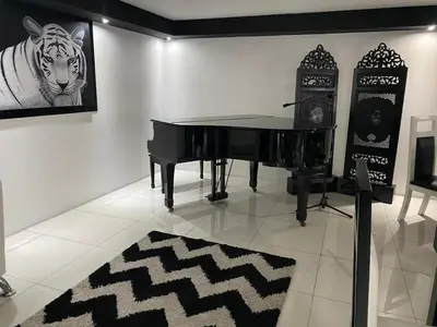 a black piano in a room with a picture of a tiger at Hotel Villa Tournon in San José